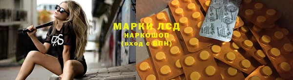 мяу мяу мука Алзамай